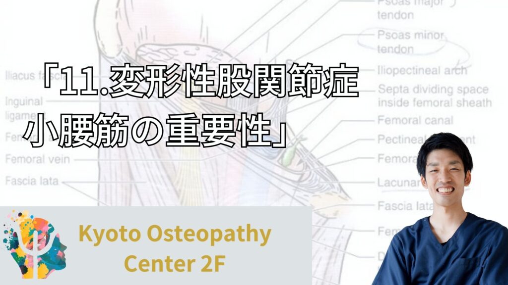 変形性股関節症　小腰筋の重要性