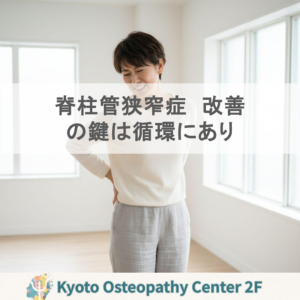 脊柱管狭窄症は「神経の傷」か「循環の問題」か？改善の鍵を整理する