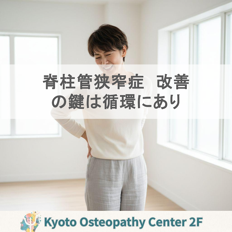 脊柱管狭窄症は「神経の傷」か「循環の問題」か？改善の鍵を整理する