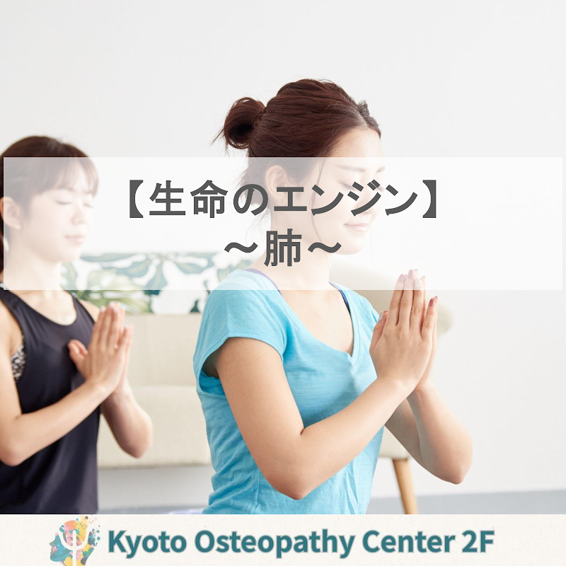 【生命のエンジン〜肺〜】呼吸が変わると、身体の巡りが変わる